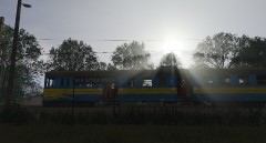 2020-09-26-091926.jpg