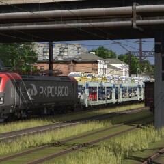 TRS19-2021-05-18-23-36-15-03