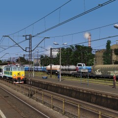 TRS19-2021-08-12-22-29-04-03