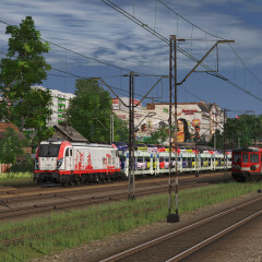 TRS19-2022-03-04-16-53-10-06